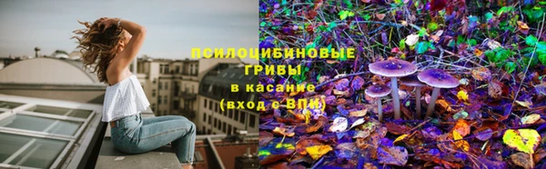 стафф Бугульма