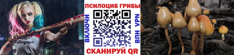 Купить закладки  Видное  Псилоцибиновые грибы ЛСД 